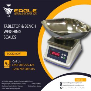 Stainless Tabletop Weighing scales